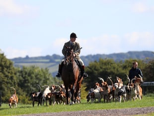 Cotley Hunt to host trail hunting demonstration amid calls for ban